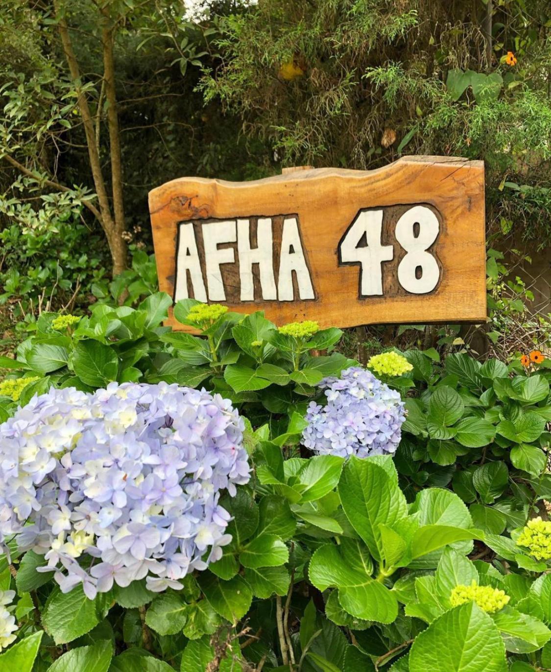 Afha 48 Villa Monte Verde  Ngoại thất bức ảnh